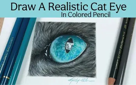 How To Draw A Realistic Cat Eye In Colored Pencil