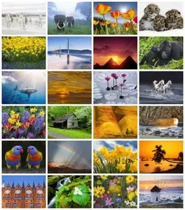 Webshots - Daily Photos (03/2012) - High Quality (1600x1200) & Wide Screen (1920x1080)