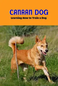 Canaan Dog: Learning How to Train a Dog