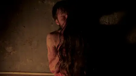 Flesh Meat Doll(S) (2016)