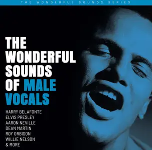 VA - The Wonderful Sounds of Male Vocals (Remastered) (2020) (Vinyl Hi-Res)