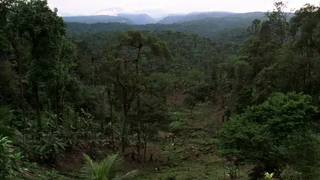 Congo (1995)