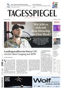 Der Tagesspiegel - 20 August 2024