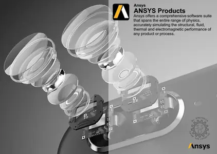 ANSYS Products 2025 R1 Local Help