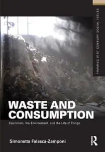 Waste and Consumption: Capitalism, the Environment, and the Life of Things