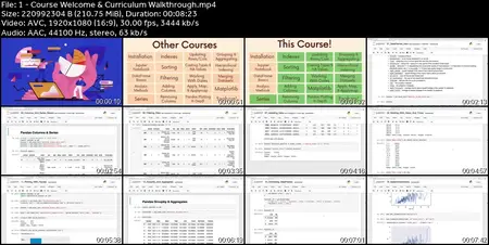 2025 Python Data Analysis & Visualization Masterclass