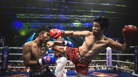 Jeet Kune Do for MMA & Combat Sports