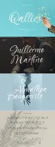 Qallies - Elegant Handwritten Fonts DSML9CR