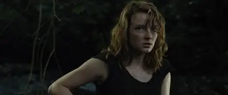 The Quiet Hour (2014)