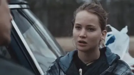 Un gelido inverno (2010)