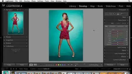 Lightroom 4: Catalogs