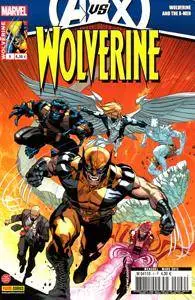 Wolverine v3 - 009