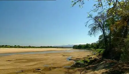 BBC - Wild Lemurs of Madagascar (2010)