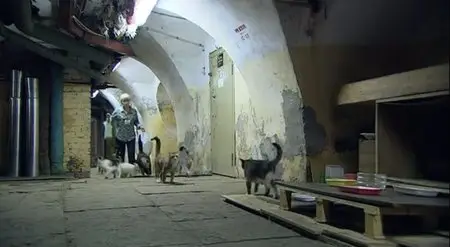 Länder Menschen Abenteuer - Eremitage Palast der Katzen (2011)