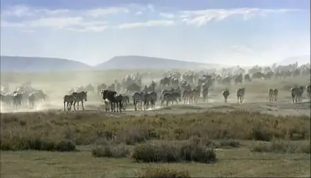 100 Years of Wildlife Films part 2 Television