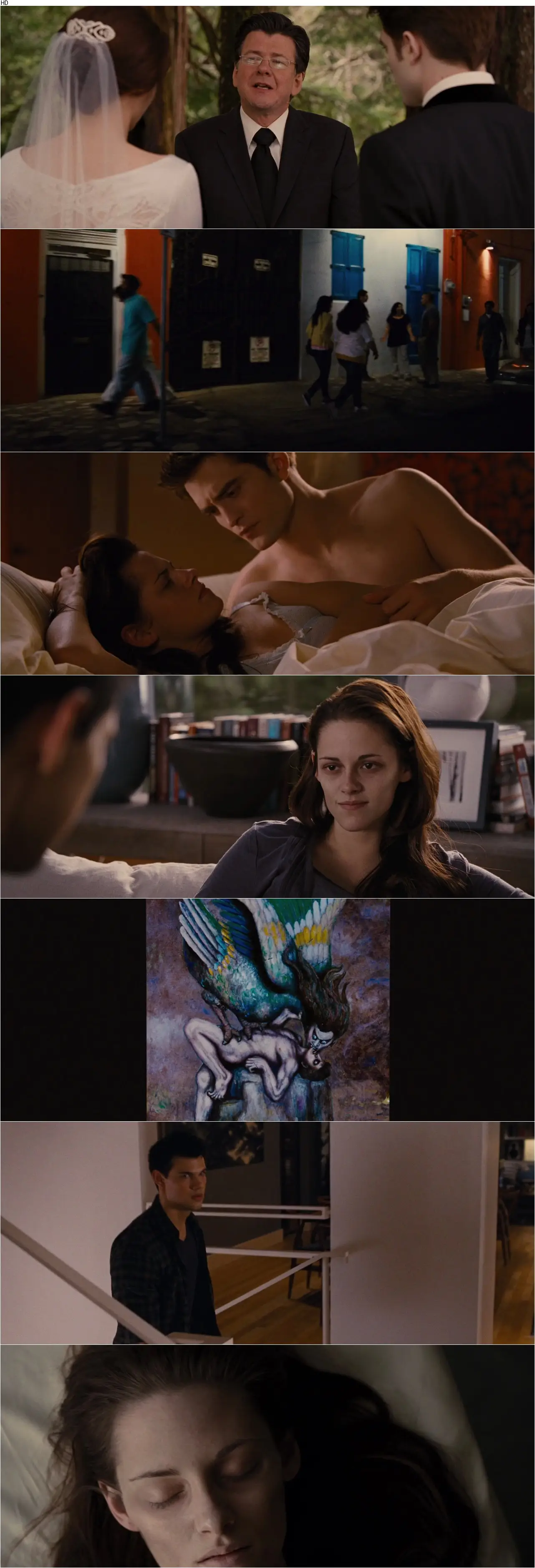 The Twilight Saga: Breaking Dawn - Part 1 (2011)