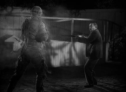 The Mummy's Tomb (1942)