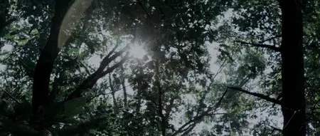 The Taking (2013)