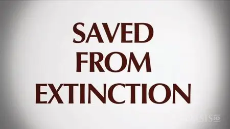 FL Concepts & Co - Saved from Extinction (2012)