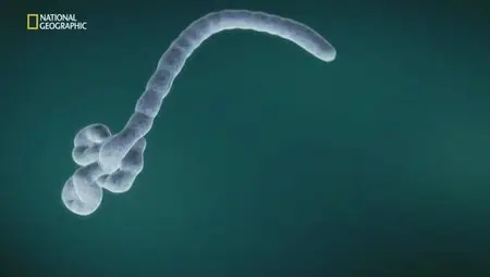 National Geographic - Alien Invasion (2013)