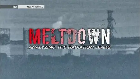 NHK - Meltdown: Analyzing the Radiation Leaks (2014)