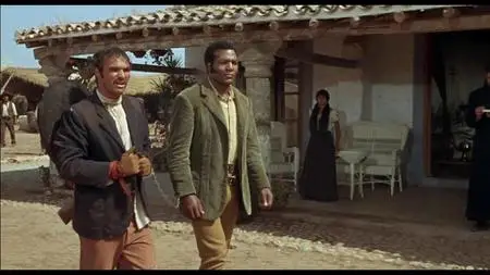 100 Rifles (1969)
