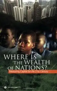 Where Is the Wealth of Nations? Measuring Capital for the 21st Century