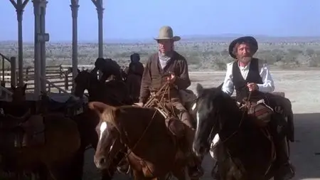 The Frisco Kid (1979)