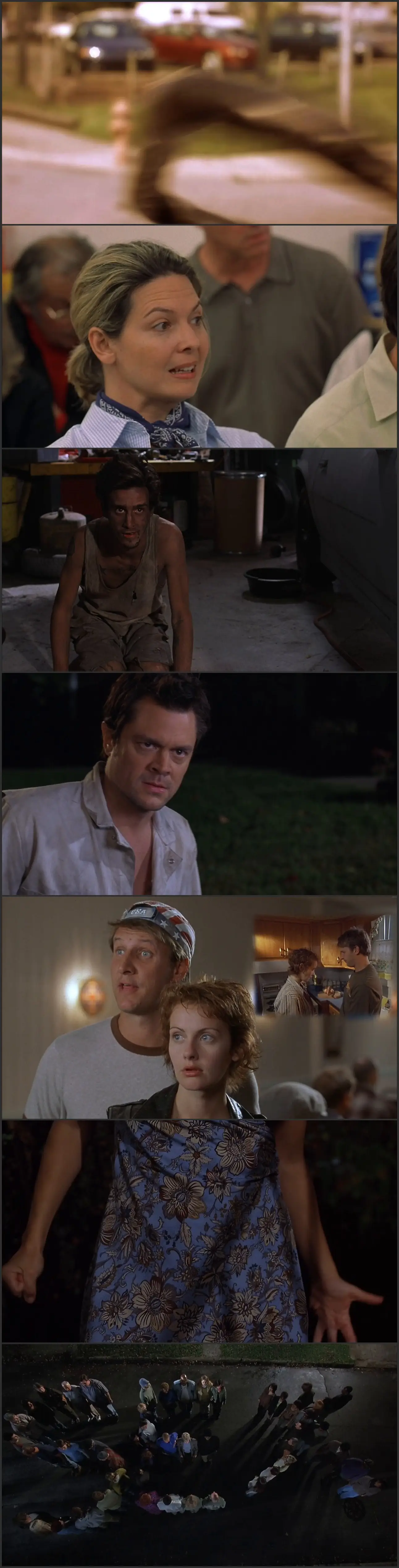 A Dirty Shame (2004)