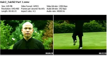 Michael Wong - Tai Chi: Tai Chi Combat Vol 2 (2008)