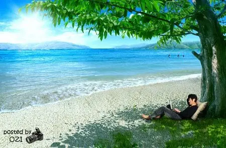 Island PSD