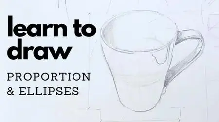 How to Draw:  Proportion and Ellipses
