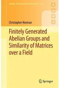 Finitely Generated Abelian Groups and Similarity of Matrices over a Field [Repost]