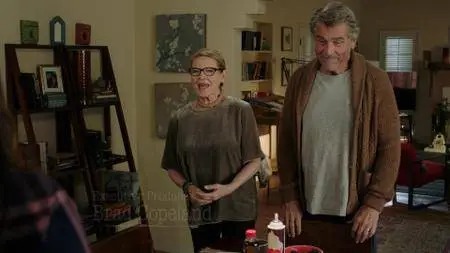 Life in Pieces S03E06
