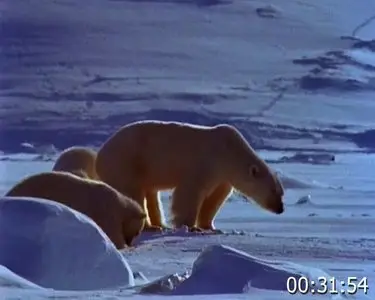 Life in the Frozen Wilderness Part 2