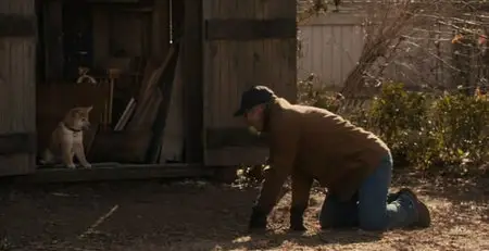 Hachiko, L’histoire D’un Chien (2008)