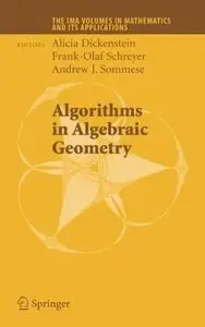 Algorithms in Algebraic Geometry 2008th Edition