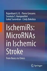 IschemiRs: MicroRNAs in Ischemic Stroke: From Basics to Clinics