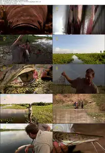 National Geographic - Monster Fish of the Amazon (2010)