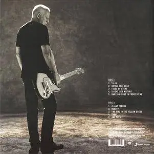 David Gilmour - Rattle That Lock (2015) [Vinyl Rip 16/44 & mp3-320] Re-up