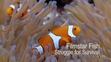 ZDF - Filmstar Fish: Struggling for Survival (2011)