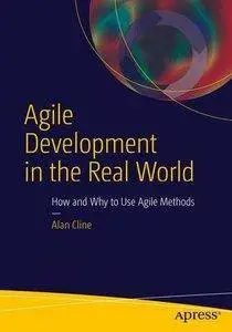 Agile Development in the Real World [repost]