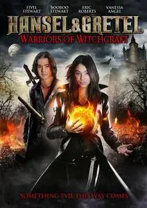 Hansel & Gretel: Warriors of Witchcraft (2013)