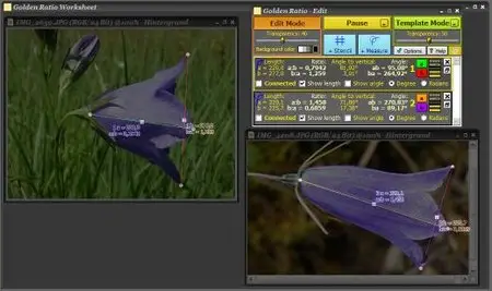 Golden Ratio v3.1.0