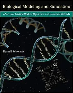 Biological Modeling and Simulation: A Survey of Practical Models, Algorithms, and Numerical Methods (Repost)