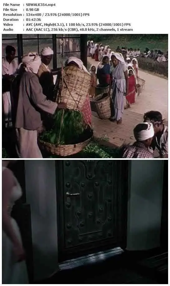 Elephant Walk (1954)