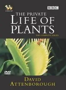 Private Life of Plants - Sir David Attenborough 