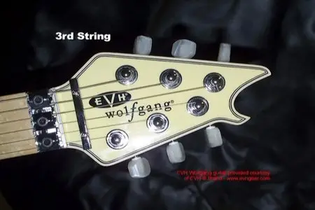MJS Phrase By Phrase Guitar Method: Classic Van Halen [Repost]