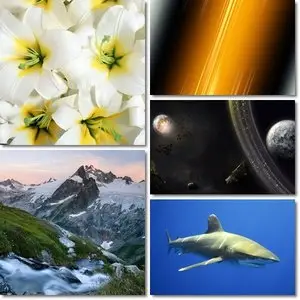 Cool Wallpapers Collection #5