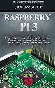 Raspberry Pi: Setup, Programming and Developing Amazing Projects with Raspberry Pi for Beginners